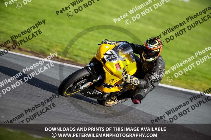 anglesey;brands hatch;cadwell park;croft;donington park;enduro digital images;event digital images;eventdigitalimages;mallory;no limits;oulton park;peter wileman photography;racing digital images;silverstone;snetterton;trackday digital images;trackday photos;vmcc banbury run;welsh 2 day enduro